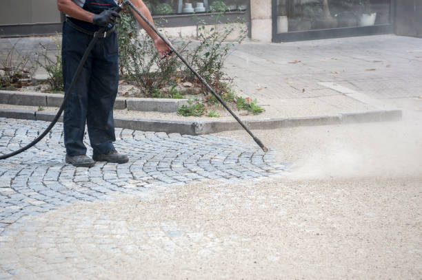 Best Warehouse Cleaning  in Hebbronville, TX