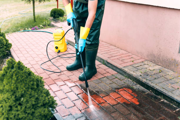 Best Soft Washing  in Hebbronville, TX