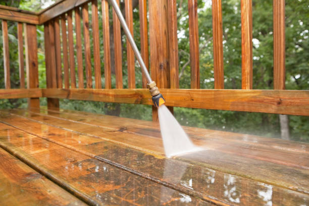 Best Restaurant Pressure Washing  in Hebbronville, TX